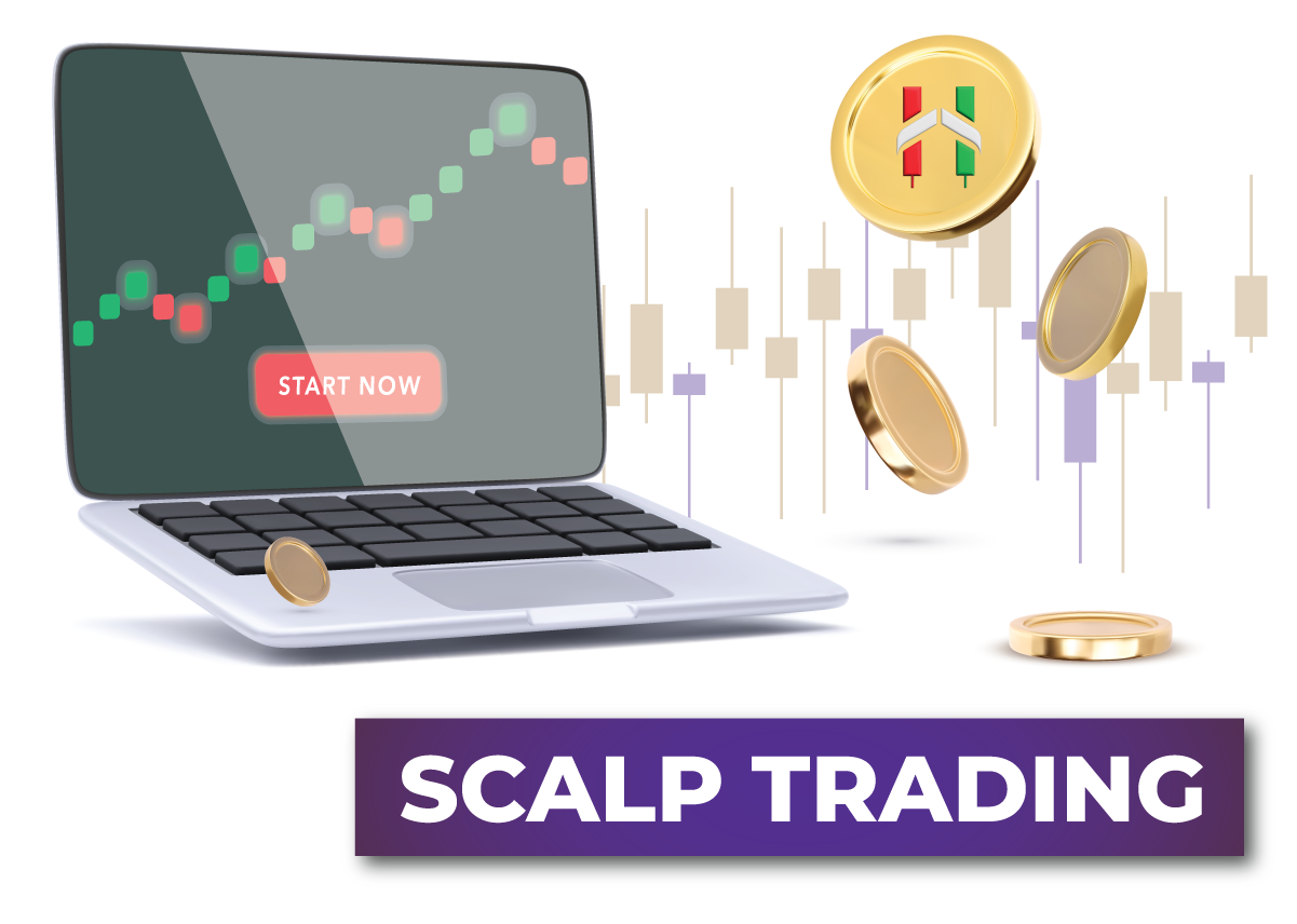 Cryptocurrency Training Academy Courses