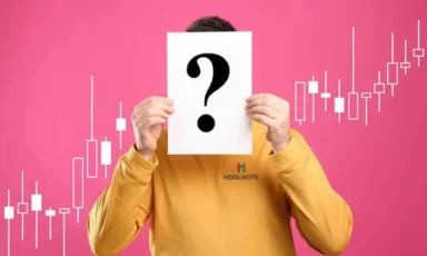 HODLNOTS - Why Do You Do That For A Living?