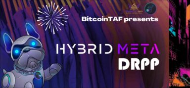 Hybrid Meta DRPP