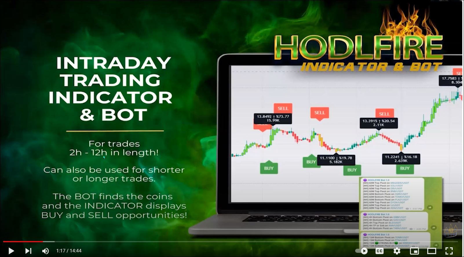 BitcoinTAF Review HODLFIRE Indicator